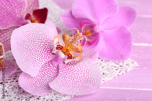 Pink tropical orchid flowers on color wooden background