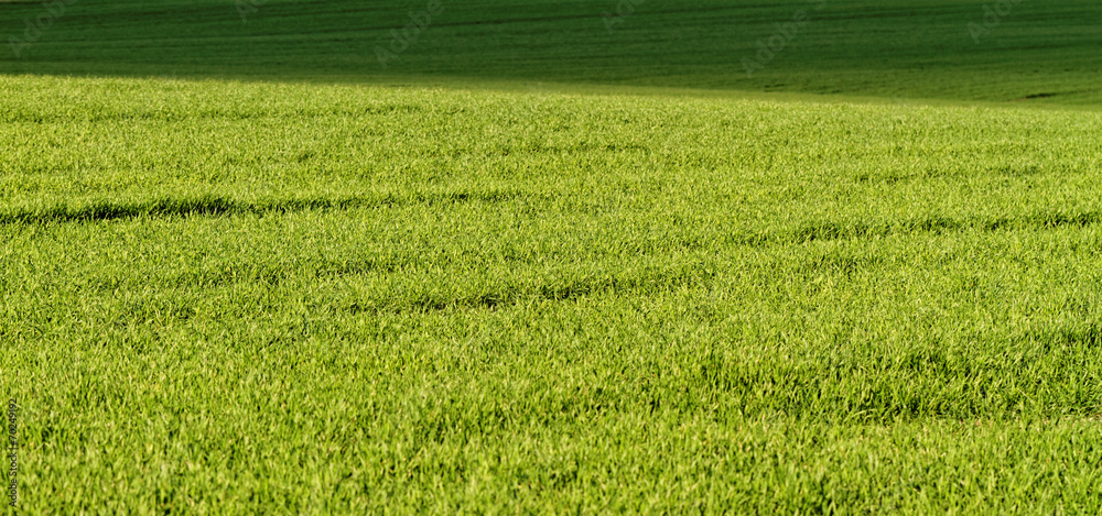 Obraz premium Rural farming