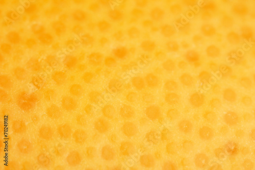 Grapefruit close-up