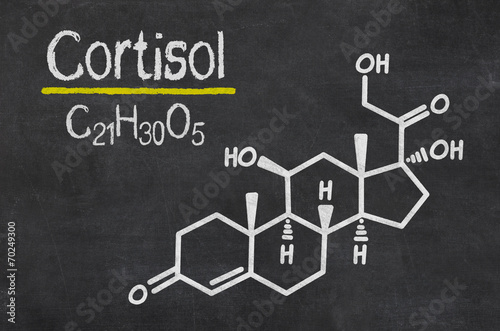 Schiefertafel mit der chemischen Formel von Cortisol