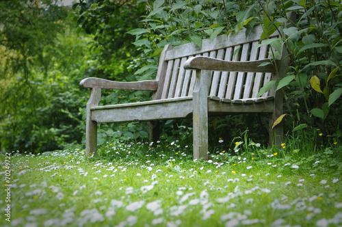 Wooden garden bench