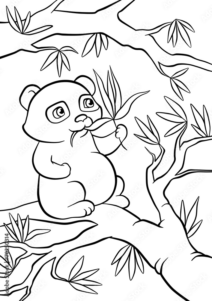 Obraz premium panda seats on the tree and eats leaves