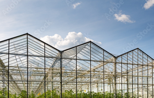 greenhouse vegetable production © JENOCHE