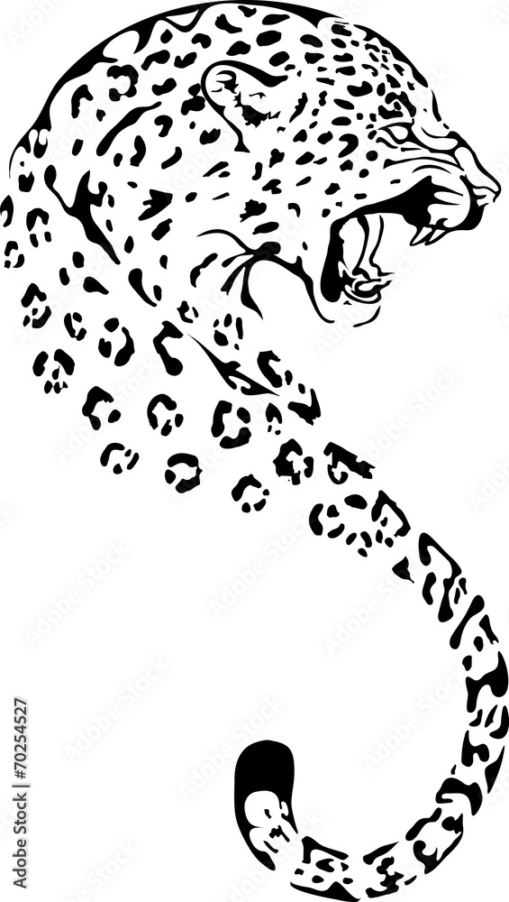 Naklejka premium gepard head silhouette