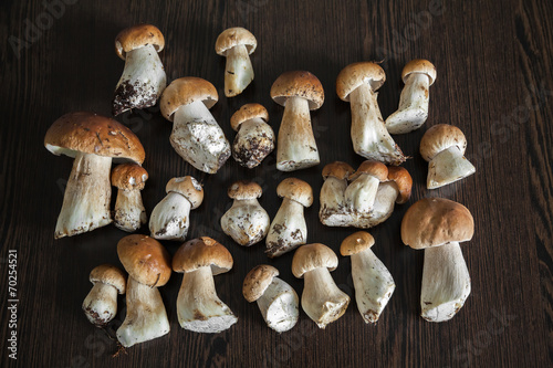 mushrooms on the table