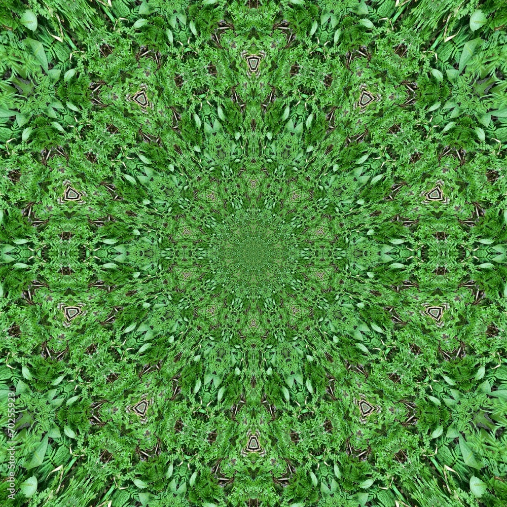 Abstract vector collection - Green - obrazy, fototapety, plakaty 