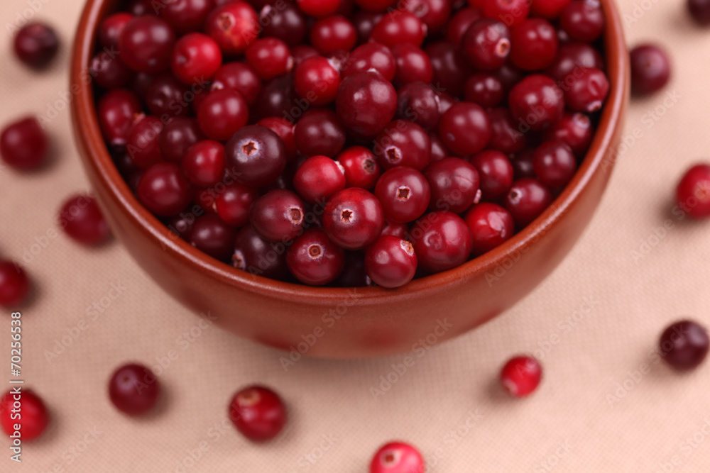 Cranberry in a bowl Cranberry in a bowl