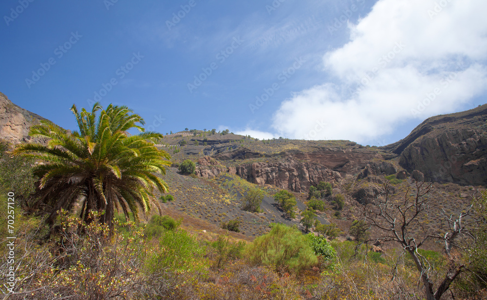 Gran Canaria, Caldera de Bandama, abandoned farm Gran Canaria, Caldera de Bandama, abandoned farm