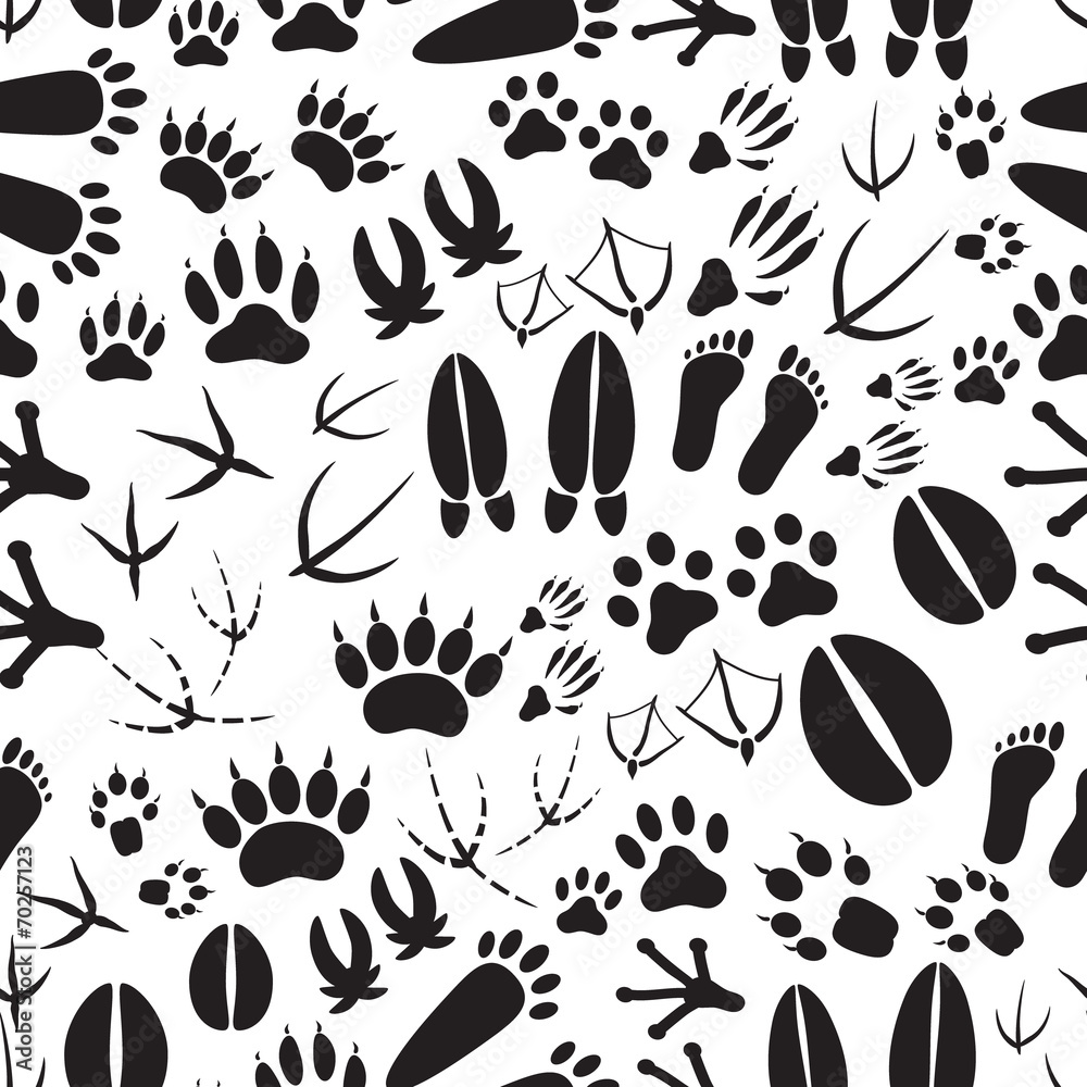Obraz premium animal footprints black and white seamless pattern eps10