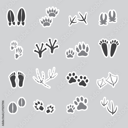 basic animal footprints stickers, set eps10 © martin951