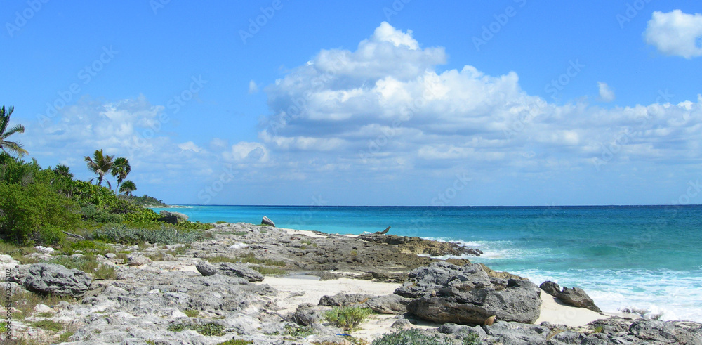 Waves crashing dark lava rocks on a Caribbean beach Waves crashing dark lava rocks on a Caribbean beach