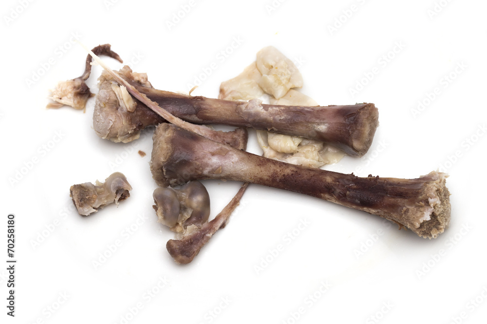 Obraz premium bone on the white background
