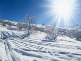 Snowy landscape with sunshine and trees in the Alps, France