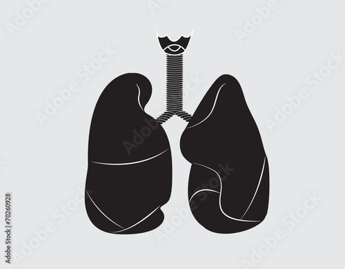 lungs