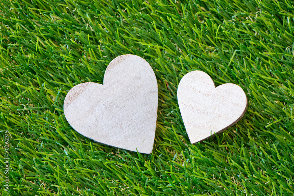 Duo of hearts on green grass - obrazy, fototapety, plakaty 