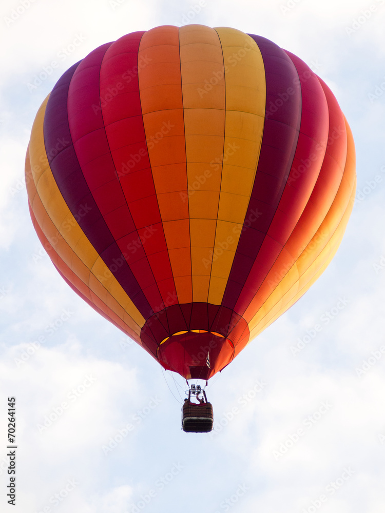 Naklejka premium Montgolfiere #103