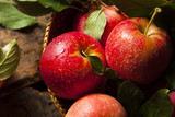 Raw Organic Red Gala Apples