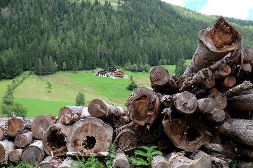 Holzstapel photo