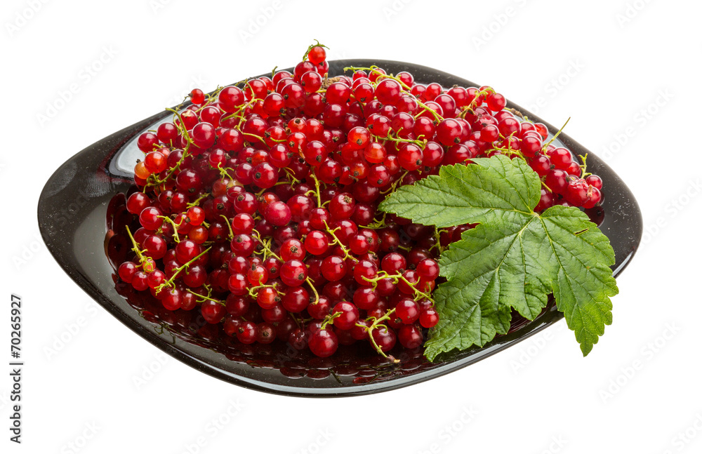 Red currant Red currant