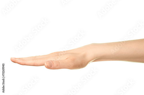Female caucasian hand gesture isolated © exopixel