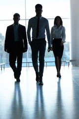 Silhouettes of Business people . Business Team