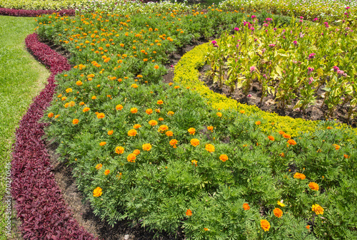 Tableau sur toile flower park, floewr garden, decoration garden
