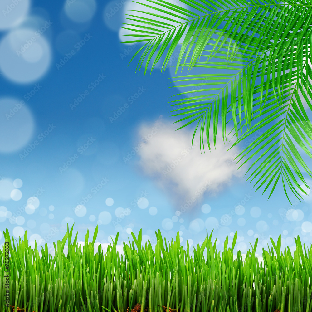 Obraz premium natural green background with selective focus