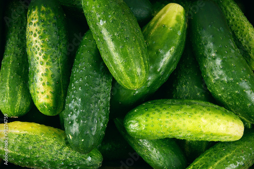 Fresh cucumbers. background.