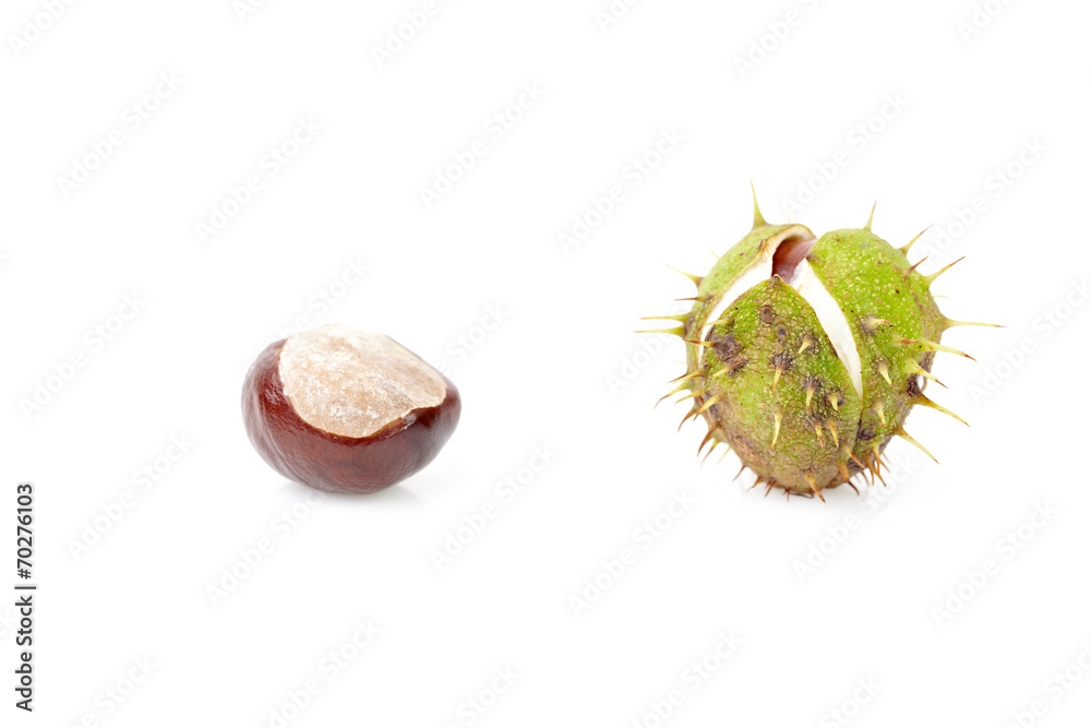 image to crop