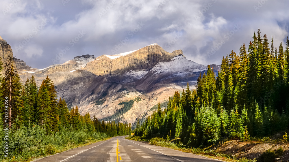 Fototapeta premium Scenic view of the road on Icefields parkway, Canadian Rockies