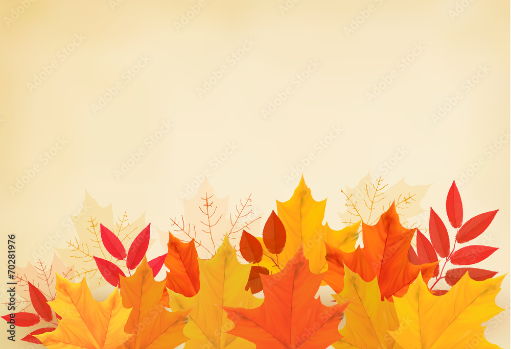 Abstract autumn background with colorful leaves. Vector illustra - obrazy, fototapety, plakaty 