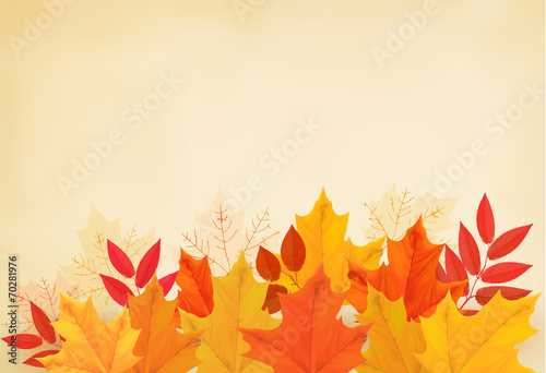 Abstract autumn background with colorful leaves. Vector illustra