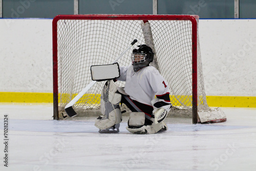 Ice hockey goaltender in front of net