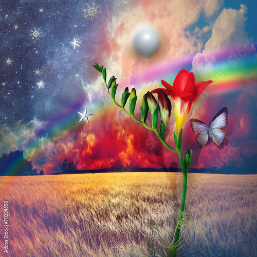 Starry landscape with freesia and rainbow photo