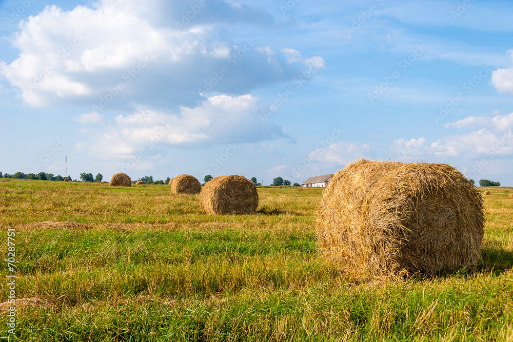 Haystacks in the field