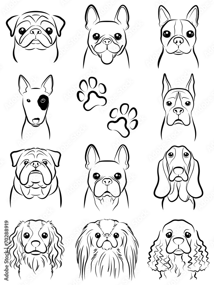 Dog / Line drawing
