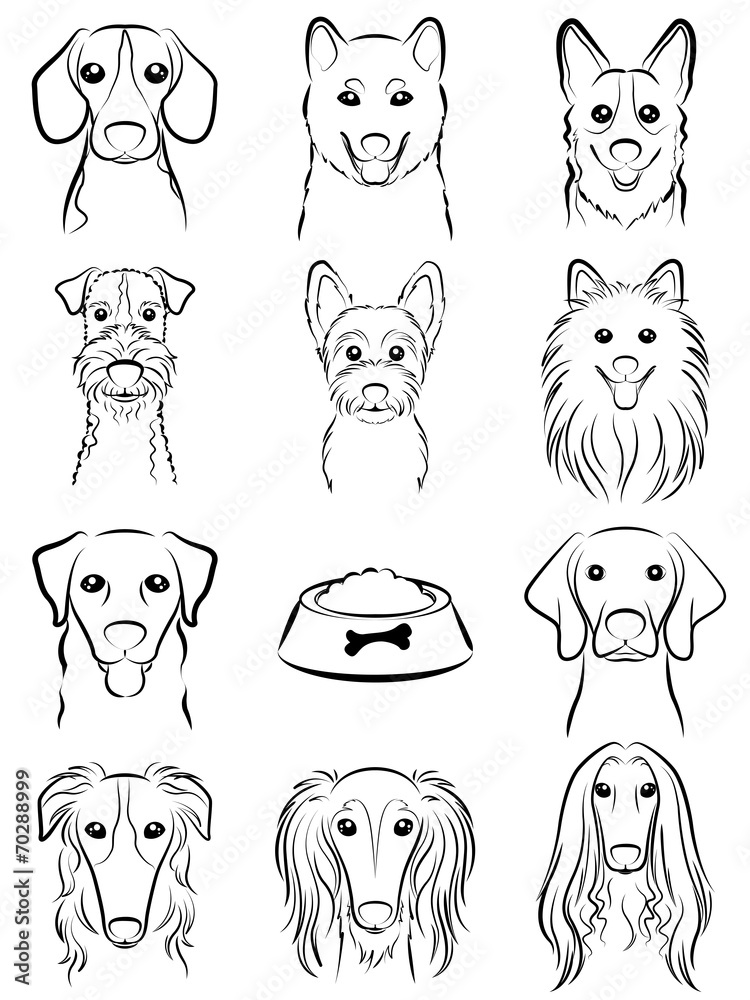 Dog / Line drawing Stock Vector | Adobe Stock