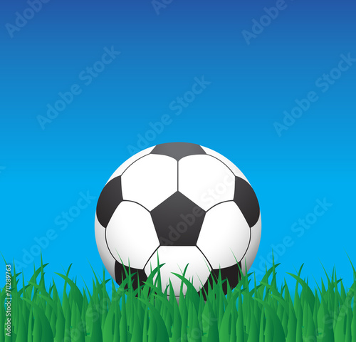 soccer ball on a grass