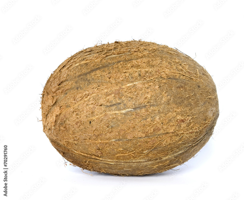 coconut coconut