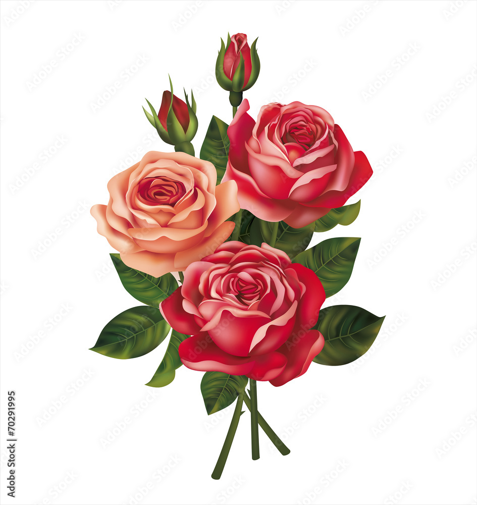 Roses bouquet on white. Vector