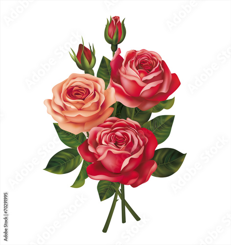Roses bouquet on white. Vector © aminaaster