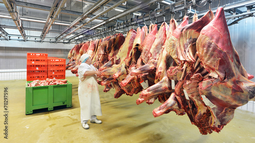 Kühlhaus einer Schlachterei // Cold store a slaughterhouse photo