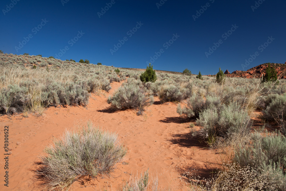 USA - coyote buttes - the wave formation