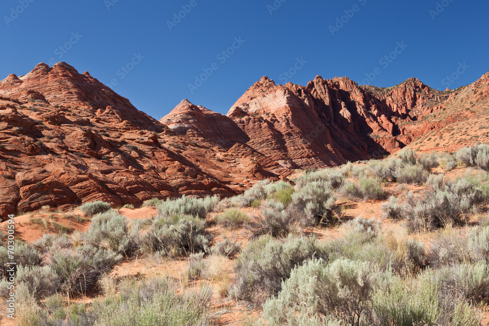 USA - coyote buttes - the wave formation