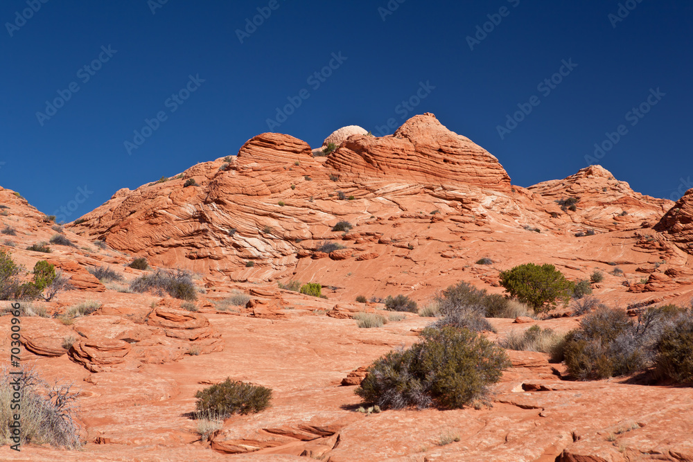 Fototapeta premium USA - coyote buttes - the wave formation
