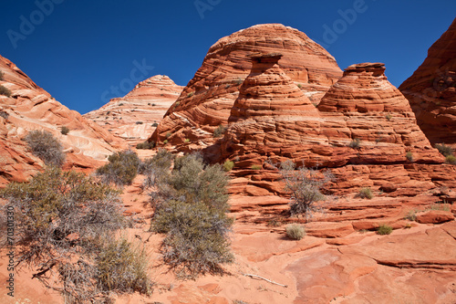 USA - coyote buttes - the wave formation