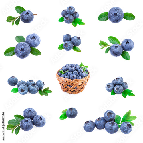 Blueberries Collection