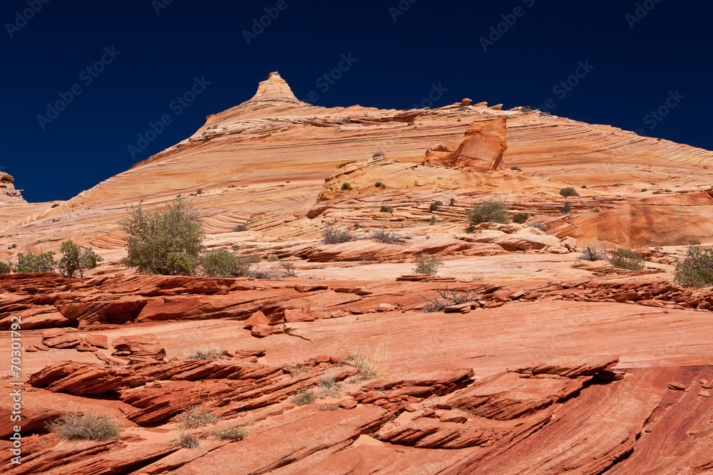 Fototapeta premium USA - coyote buttes - the wave formation