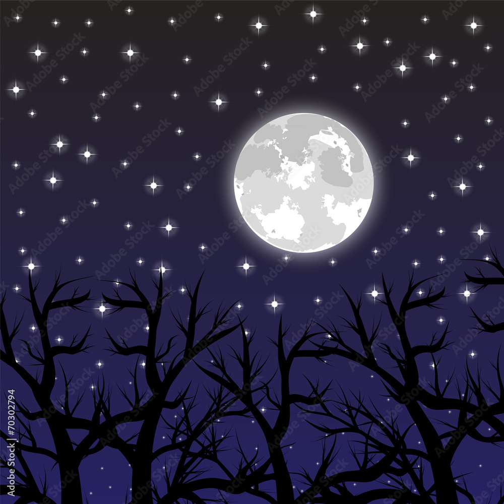 Fototapeta premium moon in the sky with the stars in the woods