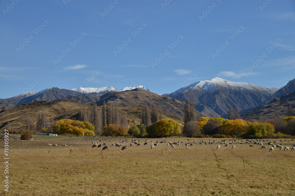 Scenic landscape between Wanaka and Queenstown, South Island.